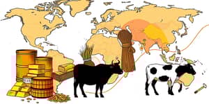 Commodities Market: Understanding Raw Material Investments