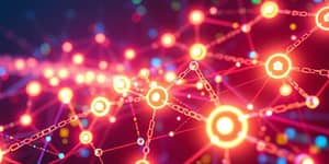 Unpacking Zero-Knowledge Proofs: Privacy on the Blockchain