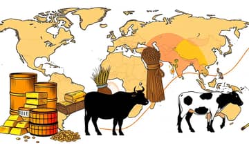 Commodities Market: Understanding Raw Material Investments